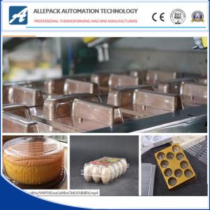 Quality Thermoforming Mold 8477409000 HS Code wholesale