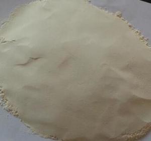 Quality A Grade Dried Spicy Garlic Powder 100 - 120 Mesh Root Part Cool Dry Place Storage wholesale