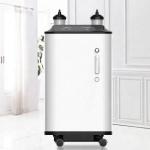 96% Medical PSA 10L Oxygen Concentrator Machine 10 Ltr