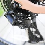 Aluminum Alloy Fork 29 Inch Mountain Bike with Hydraulic Disc Brake and Front