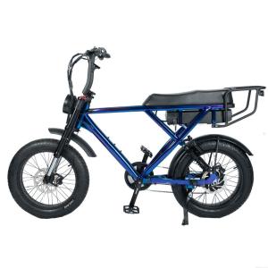 Quality Powerful 500w 750w 1000w E Bike Max Speed 50km/h 48V Voltage for Snow Beach and More wholesale