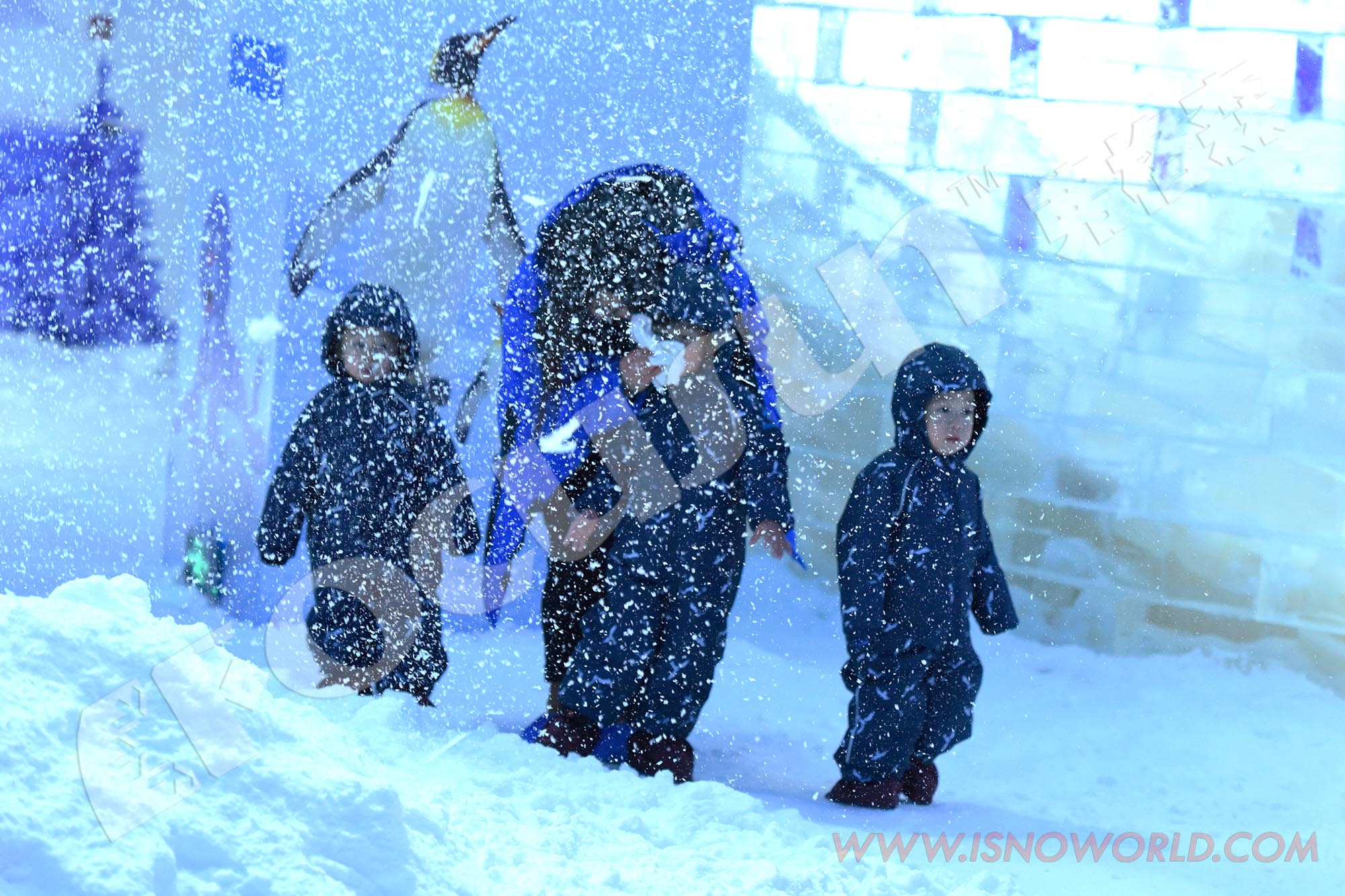Snow Ice Machine for Dubai Snow Park 380V / 50HZ / 3P Power Supply Maquina Hacer Hielo