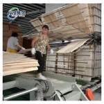 Heavy Industry Fully Automatic Veneer Wood Wall Panel Sheet Desiccation