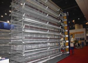 Quality South Africa Livestock Farming Equipment Galvanized Frame Modern Design wholesale