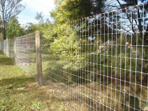 Galvanized Welded Wire Mesh 60 inch field fence Roll Hardware