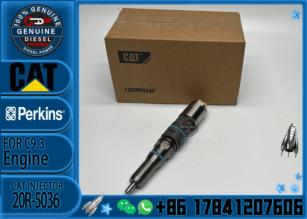 Common Rail Fuel Injector 456-3493 20R-5036 456-3509 456-3544 20R-5079 363-0493 367-4293 20R-1318 For Cat 336E C9.3