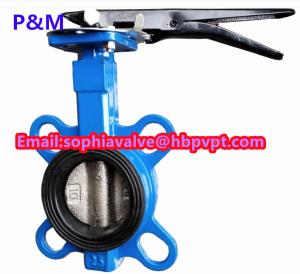 Quality DIN cast iron wafer butterfly valve with pin wholesale