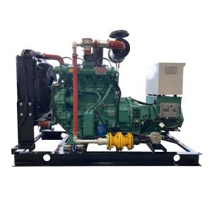 Quality CE ISO Approved 30kw Silent LPG Gas Generator Water Cooled Method Electrical Start wholesale