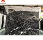 Hotel Surface Finishing Polished Italian Fendy Black Marble with White Veins