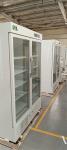 2-8 Degrees Double Glass Door Pharmacy Vaccine Storage Freezers Medical Grade