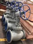 ASTM A216 WCB cast steel ANSI globe valve