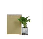 Self Adhesive Recycled Honeycomb Padded Mailer 100% Biodegradable Paper