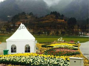 Quality Best Large Family Camping Tent Single Color With Toughened Glass Door wholesale