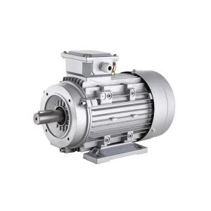Quality Four Pole Induction Motor 4 Pole Electric Motor 3 Phase Cast Iron Copper Wire wholesale