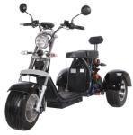 Adult 2000w 3 Wheel Fat Tire Electric Scooter With Seat For Adults 12AH 20AH
