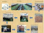 Aluminum Rivets for Auto Parts