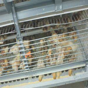Quality 260 Birds Hunsbandry 6 Tiers ZnAl Poultry Cage For Broiler wholesale