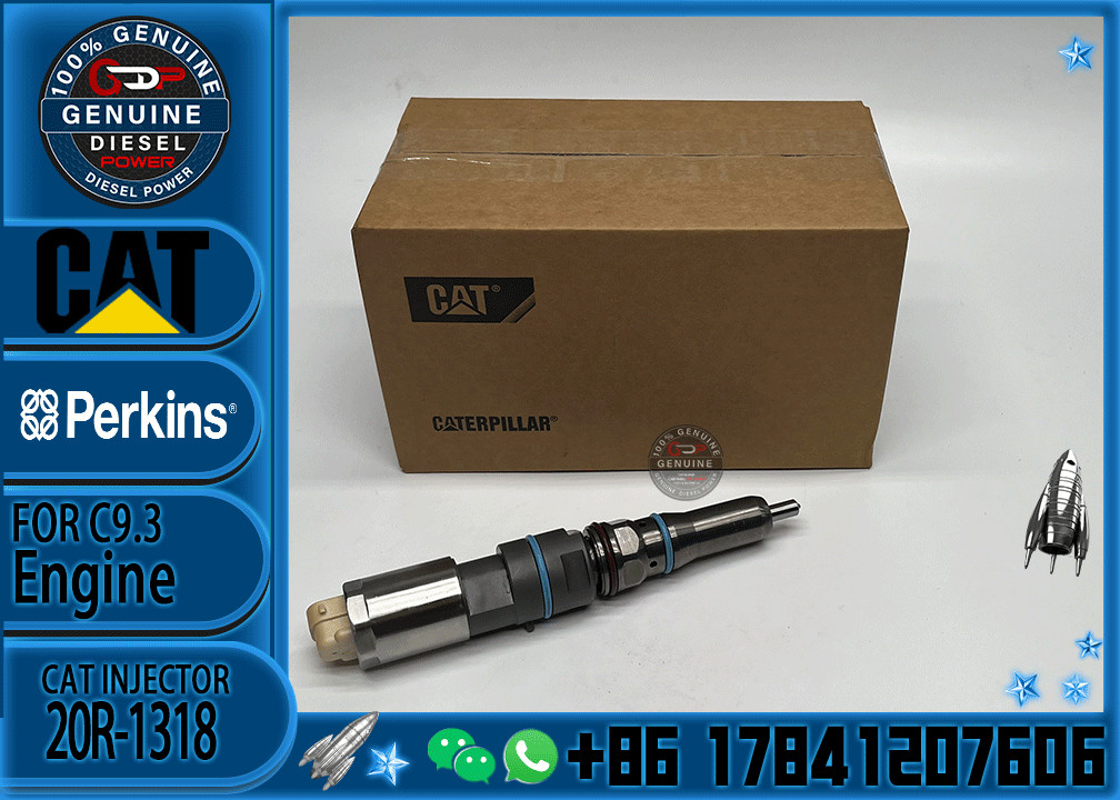 Common Rail Fuel Injector 456-3493 20R-5036 456-3509 456-3544 20R-5079 363-0493 367-4293 20R-1318 For Cat 336E C9.3