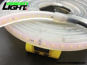 Quality IP68 6500K SMD5050 Waterproof Led Strip Lights 12V RGB ATEX wholesale