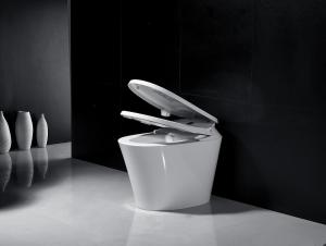 Quality One Piece Smart Auto Wash Toilet Body Cleaning Function Floor Mounted Toilet wholesale