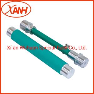 Quality Oil Transformer RTE Bayonet Fuses Overcurrent Protection Prnt4-24/6.3 wholesale