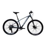 29 Inch Mountain Bike Marlin Made with Copy Carbon Welding and Aluminum Rim