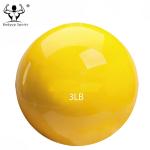 Soft Weighted Mini Gym Exercise Ball PVC Toning Ball 1lb-10lb Weight