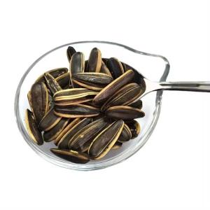Quality 2024 years Factory Wholesale new crop sunflower seeds wholesale