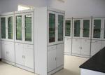 Beautiful Durable Chemical Safety Cabinet Stainless Steel Grey Cupboard