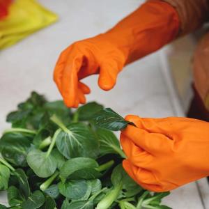 Quality Flexible Cotton Flocklined 35g Kitchen Rubber Gloves wholesale