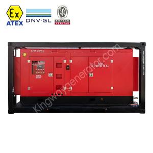 Quality 250KVA Zone 2 Hazardous Area Explosion Proof Diesel Generator wholesale