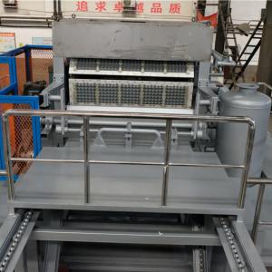 Quality Egg Packaging Paper Tray Machine 2m hight ROHS Certified Pulp Molding wholesale