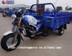 Climbing Petrol 2t 300cc Three Wheel Bike Motorcycle