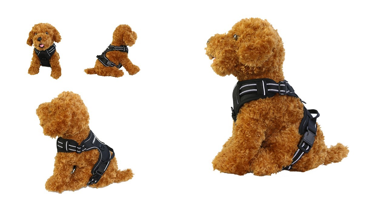 Reflective Strips Lightweight Small Dog Harness / Security Trail Running Dog Harness