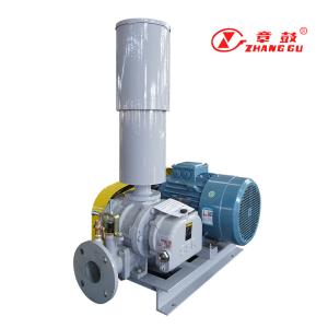Quality High Performance Roots Vacuum Pump For Industrial Environments Max Vacuum -44kpa wholesale