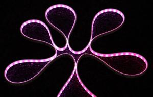 Quality 25000H DIY LED Neon Light Body Smart Neon Flex Rope Light wholesale