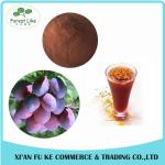 Water Soluble Dark Plum Fruit Juice Powder