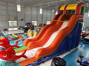 Quality Factory Commercial Goldfish Inflatable Slide Inflatable Dry Slides For Outdoor wholesale