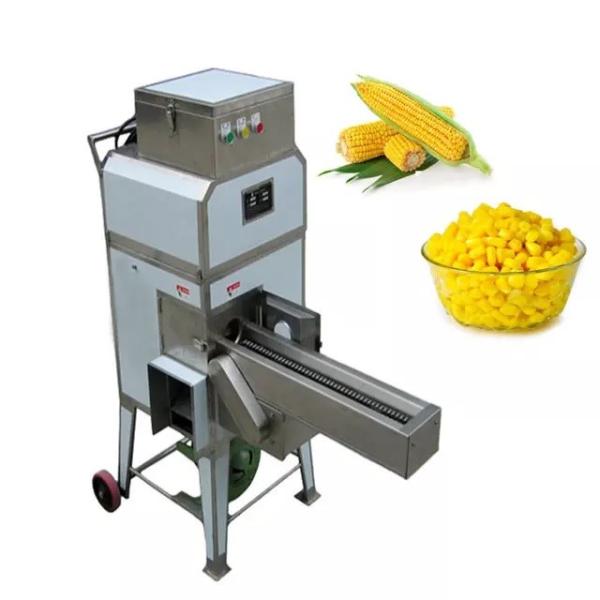 SUS304 instant fruit milk flower freeze drying machine pet food machine freeze
