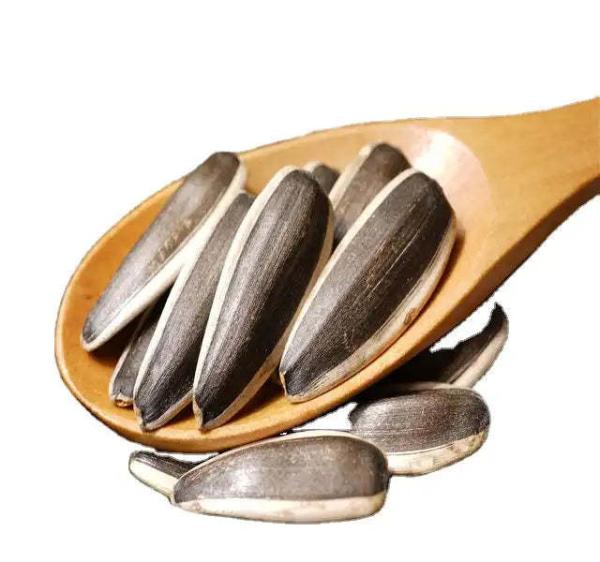 Cultivation Type COMMON Crop Newest crop year Sunshine Snacking Seeds Delicious