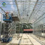 Vegetable Plant 0.15KN/M2 9.6m Commercial Glass Greenhouse