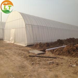 Quality Single-Span Agricultural Greenhouse for Cultivation of Vegetables Fruits and Flowers wholesale