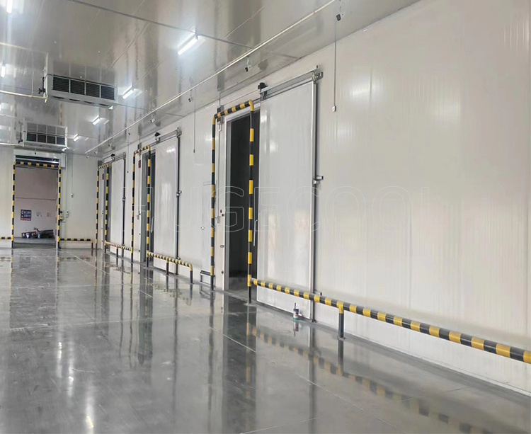 Cold Room Freezer and Cooler Room with Refrigeration System