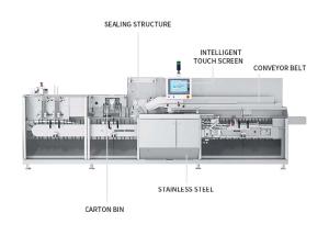 Quality 40-50 Boxes/Minute Carton Box Packing Machine For Hamburger Food Vegetables Golves wholesale