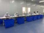 Professional Manufacture Hot-sale Disposable 3-Ply Non-Woven Face Mask for