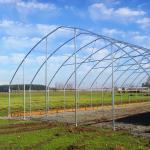 Single-span Arch Polyethylene Film Pumpkin 6m High Tunnel Plastic Greenhouse For