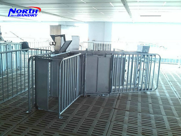 THIẾT BỊ CHĂN NUÔI LỢN