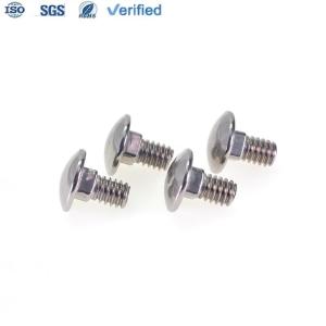 Quality Square Neck Carriage Bolts with Customized Stainless Steel Head Mirror Polished wholesale