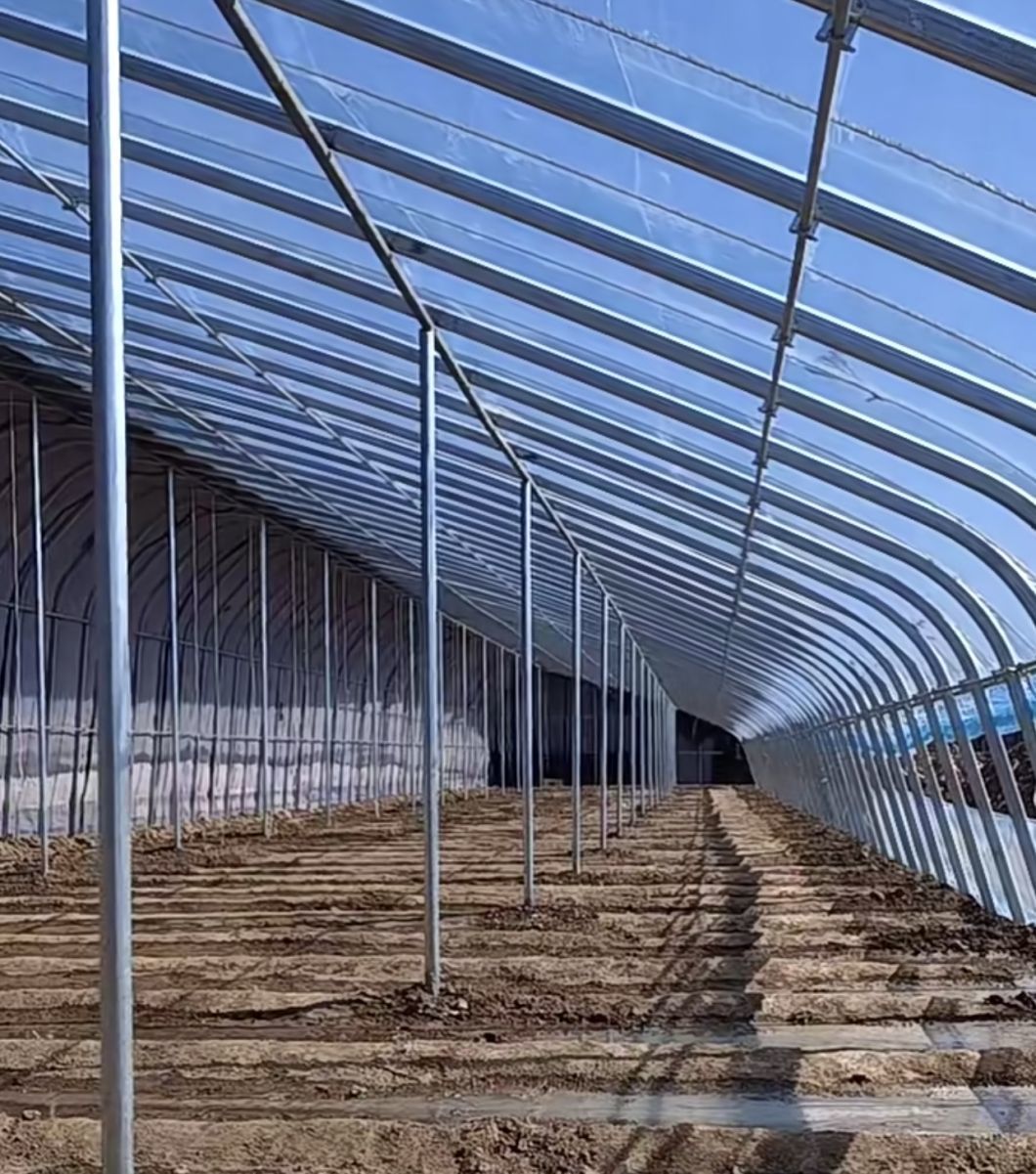 Hydroponics Flower Planting Vegetable Production Sunlight Greenhouse