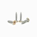 Processing baking paint white stainless steel screw decoration wood screw color